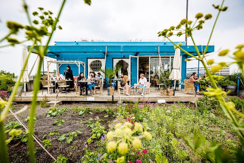 Rooftop views & cosy vibes! Whether you're inside or out, Teds Rotterdam Op Het Dak is the perfect spot to relax, and enjoy great food.