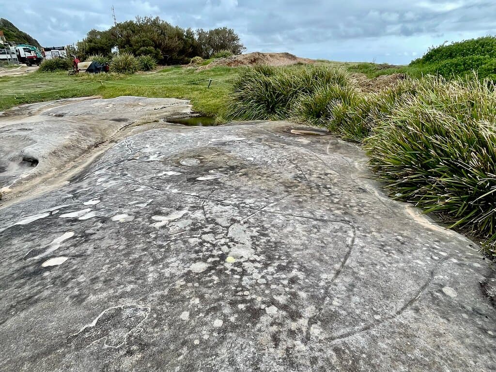 A section of a large sea creature (probably a whale) is just one of the figures at this ancient Aboriginal rock art site at Bondi.