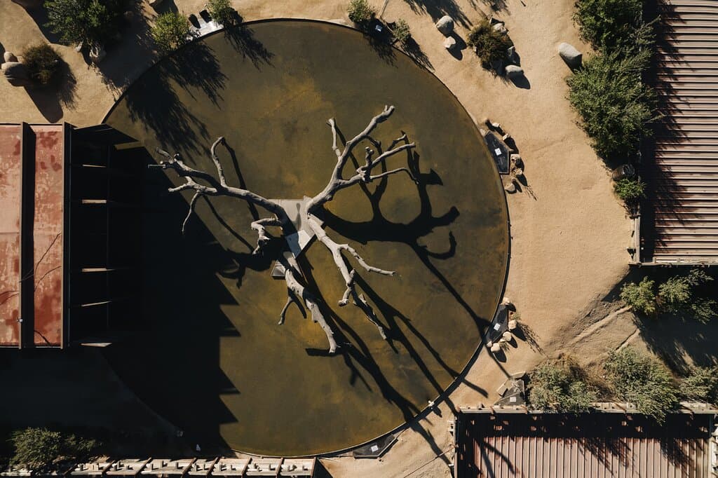 Bruma Vinicola vista aerea 