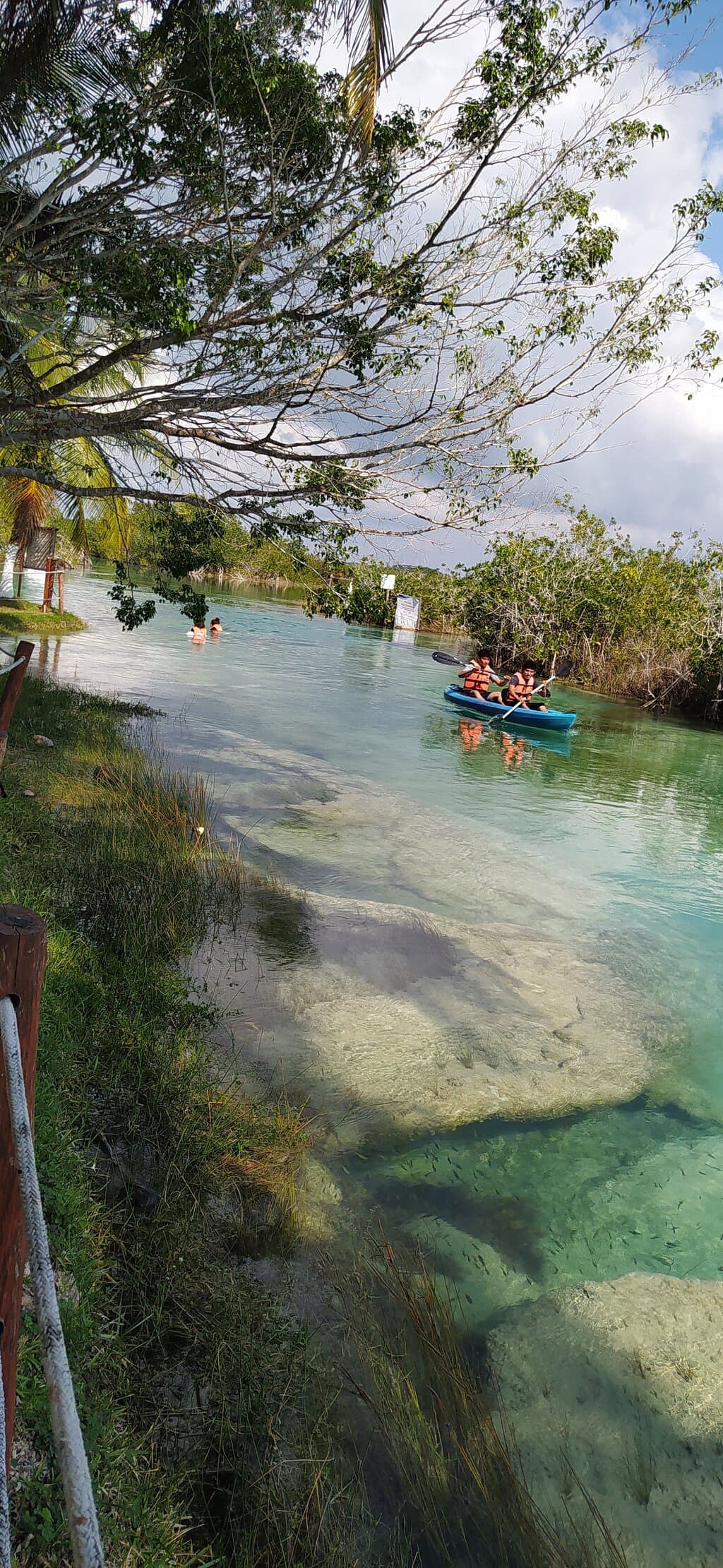 Cenote Cocalitos Bacalar