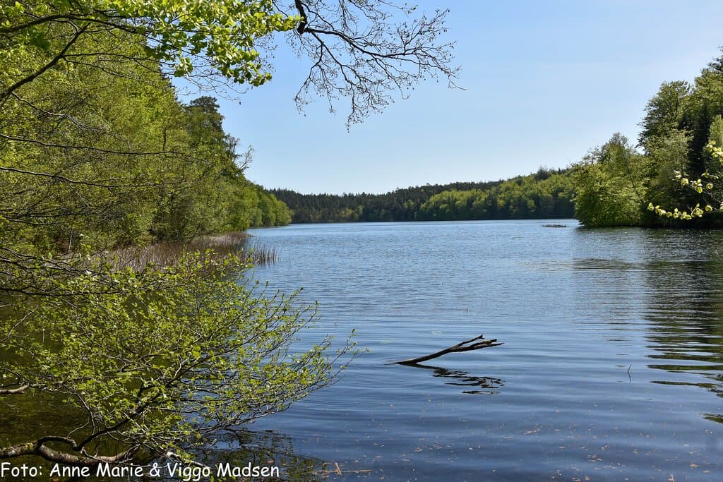Udsigt over Slåensø