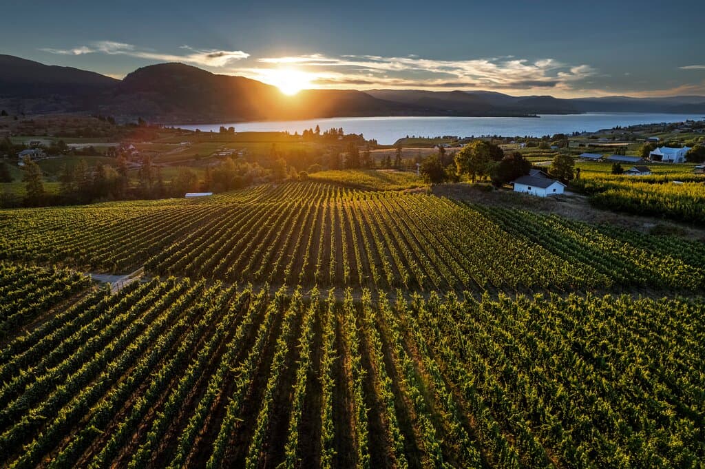 LA FRENZ Estate Winery farms 62 acres over 6 vineyard sites. Intentionally planted varieties and clones were chosen for each vineyard site, leading our wines to truly evoke the sense of place from which they were born. 
