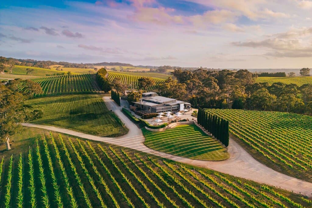 The Lane Vineyard