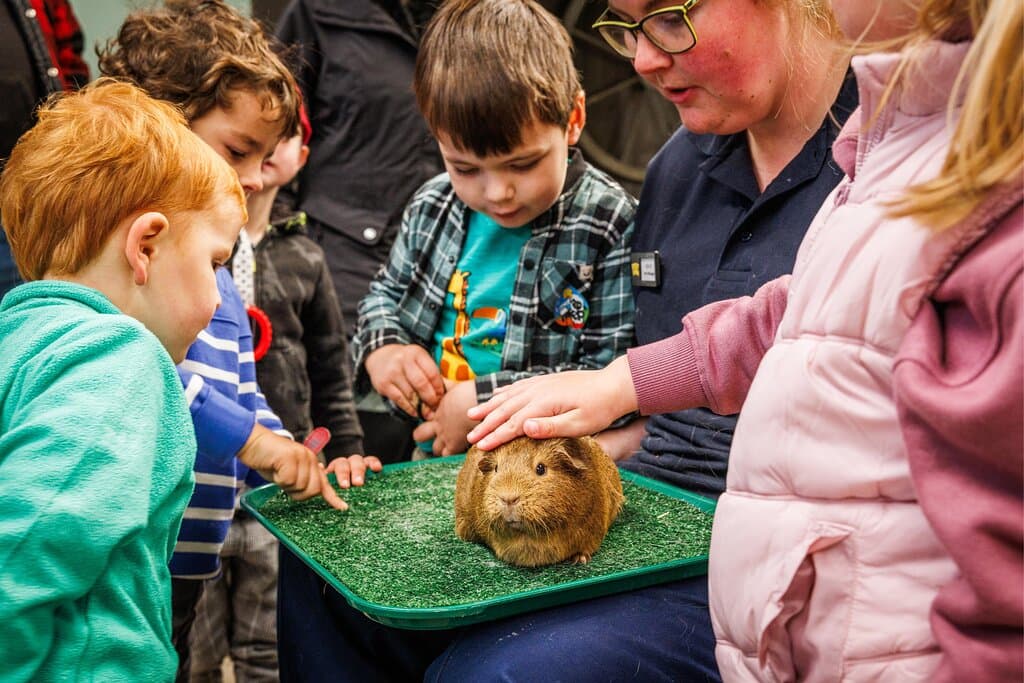 Meet and Greet in the Jolly Barn