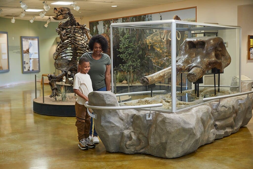 Mastadon skull exhibit case at Big Bone Lick State Historic Site