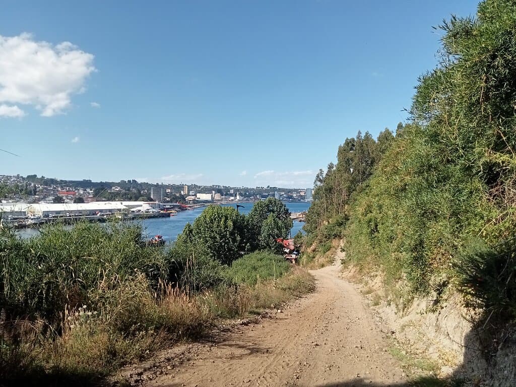 Walking up to Mirador Isla Tenglo. Puerto Montt. Los Lagos, Chile. January 2025.