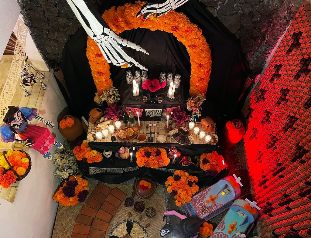 See an authentic ofrenda of the Day of the Dead celebration and learn about its history. Enjoy the tzompantli or “wall of the row of skulls” with more than 1000 skulls and the monumental Catrina.
