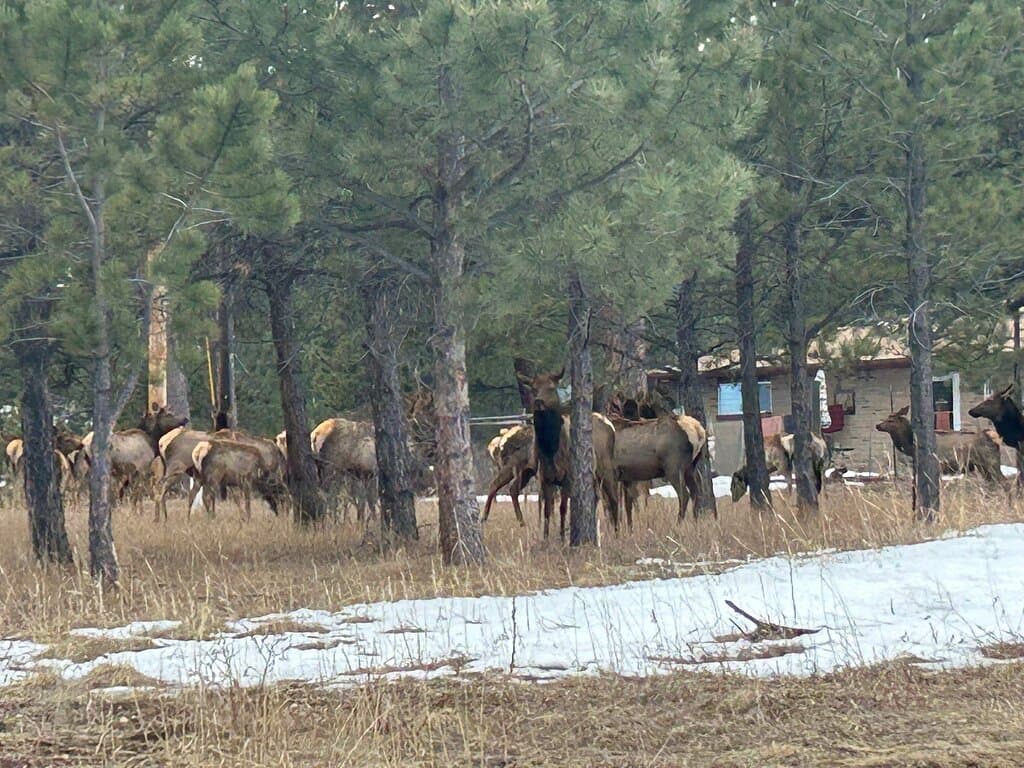 Elk Meadow Park