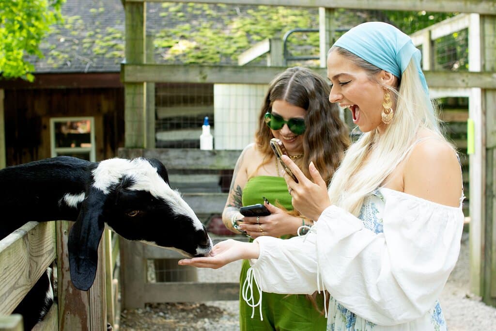 Petting zoo