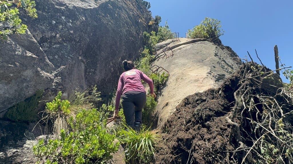 Mount Longido