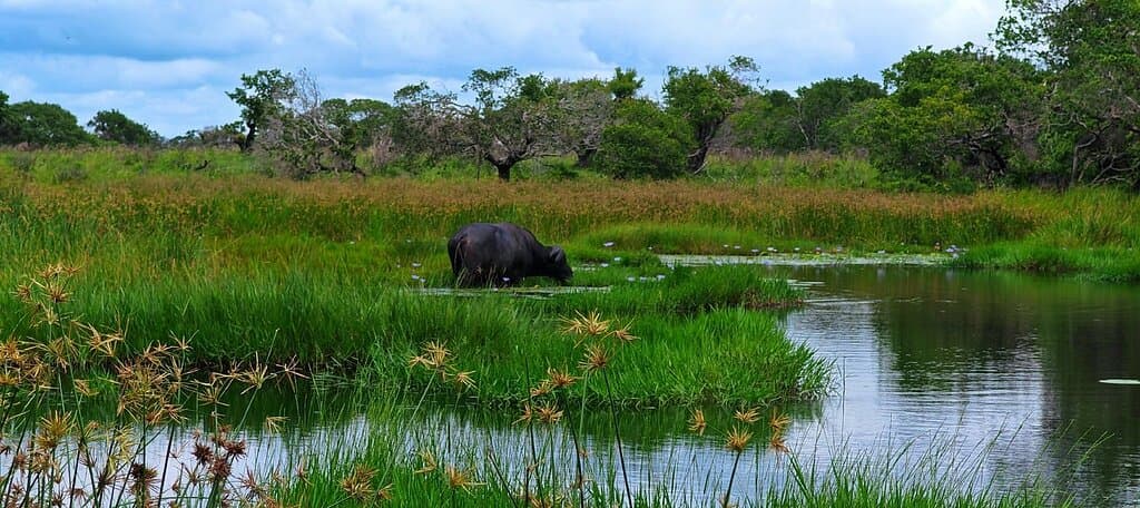 iSimangaliso Wetland Park