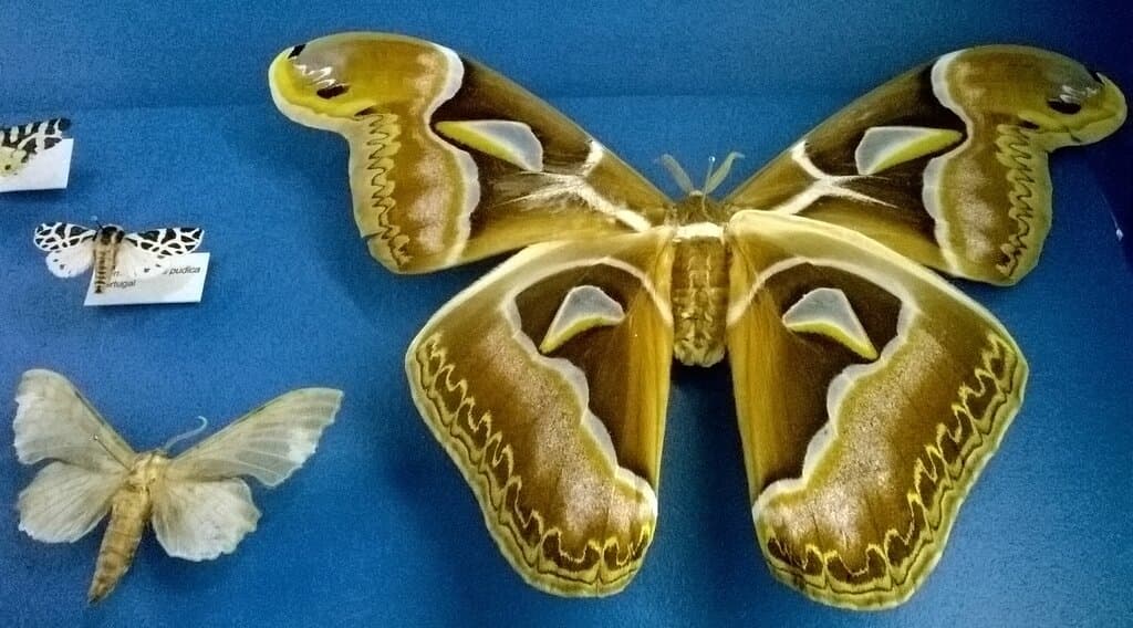 Museum of Natural History and Science (U.Porto) Porto