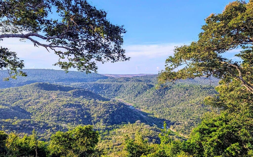 Down in the valley, the Manolo River is meandering through the Mwaluganje Sanctuary.