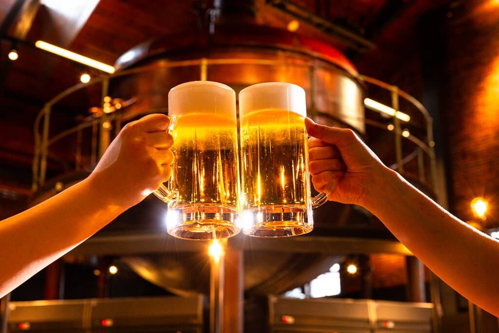 新鮮な生ビールで乾杯！