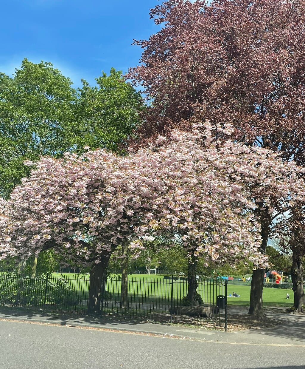 Faversham Recreation Ground