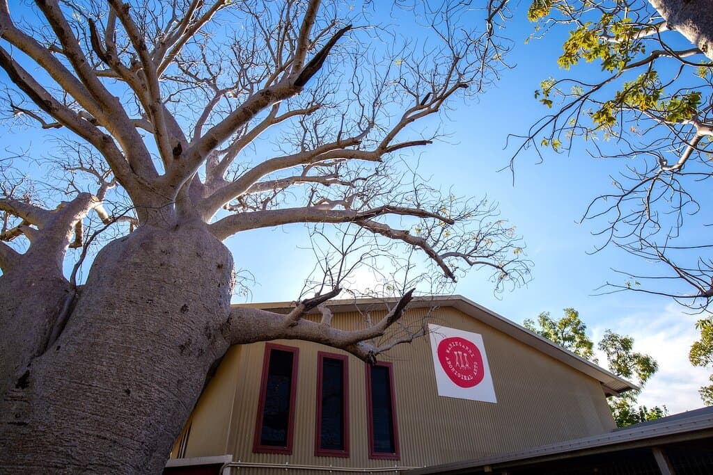 Waringarri Aboriginal Arts is the first Aboriginal-owned art centre in Western Australia.