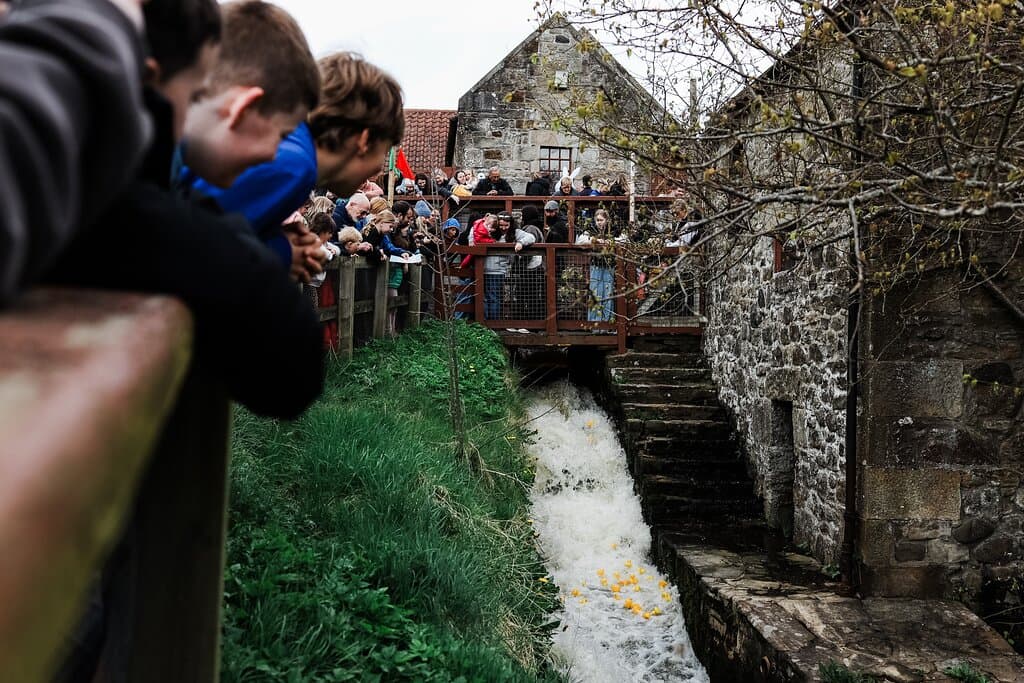 The infamous annual duck race underway!