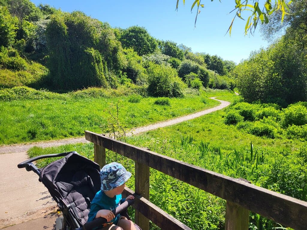 Mincinglake Valley Park, perfect nature park with a variety of different walks available. Also, it's great for running or just having a picnic.