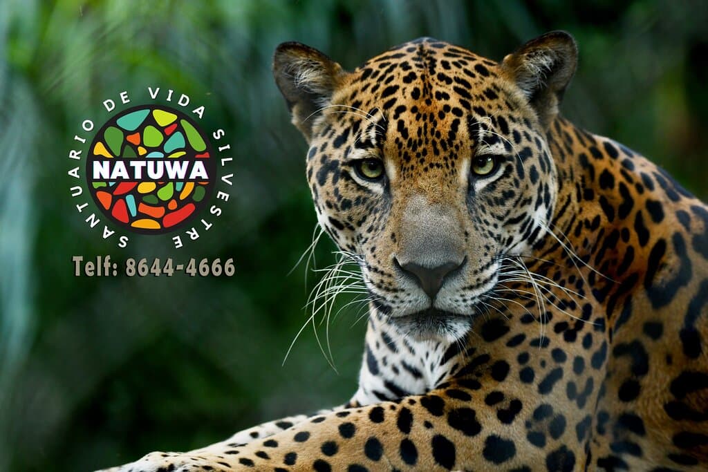 Natuwa Wildlife Sanctuary