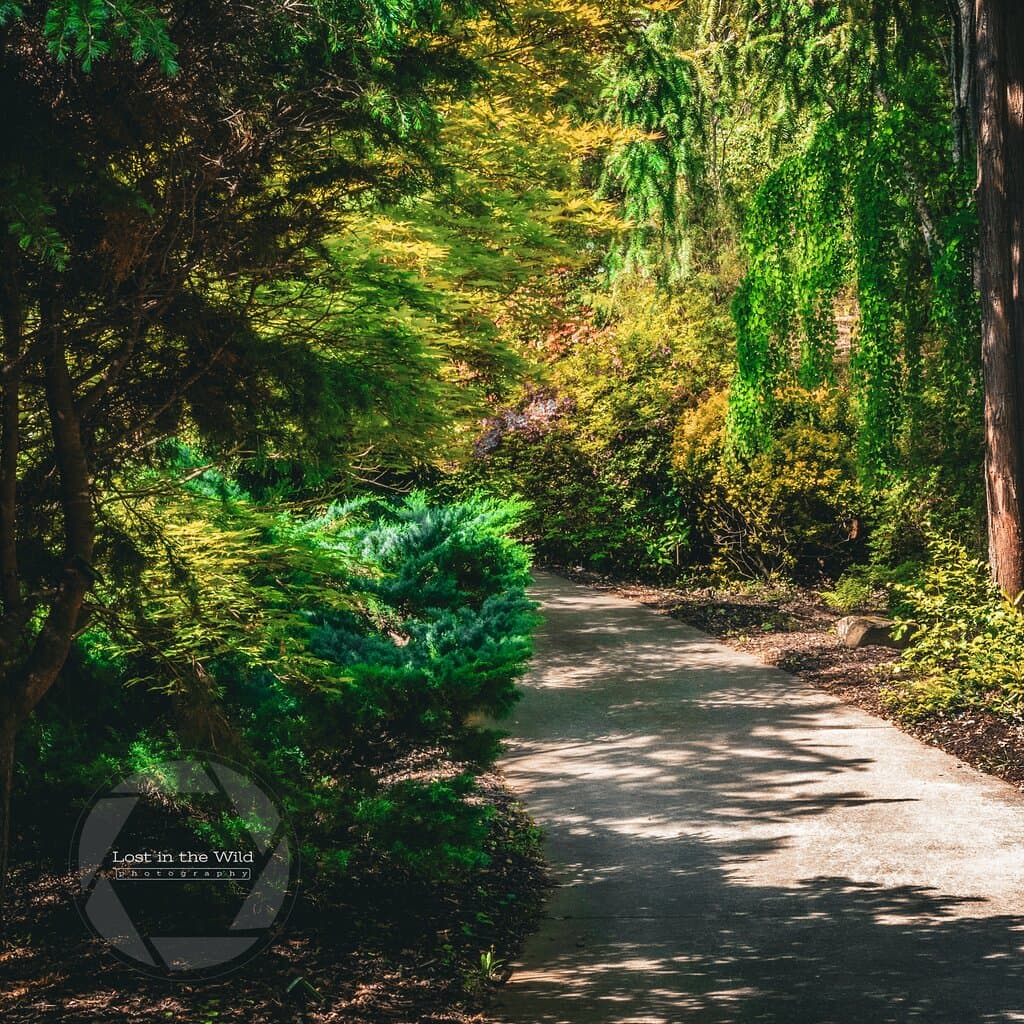 This photo is by Lost in the Wild Photography