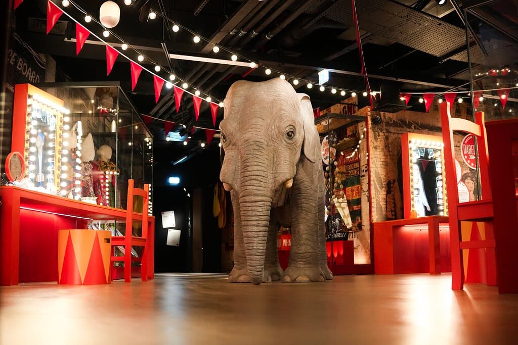 Our circus gallery.