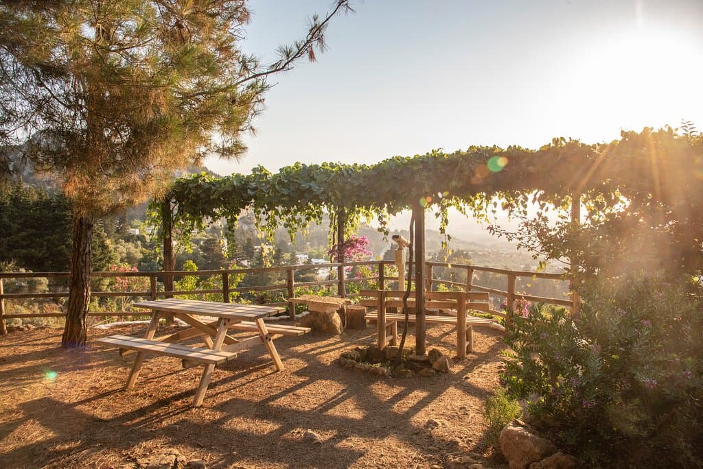 Live the natural experience! Imagine a small outdoor area in a park in Kos, thoughtfully designed for comfort and relaxation. Surrounded by greenery , it offers a beautiful view that invites you to sit and enjoy the moment.