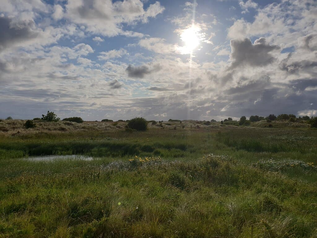 Gronant Dunes