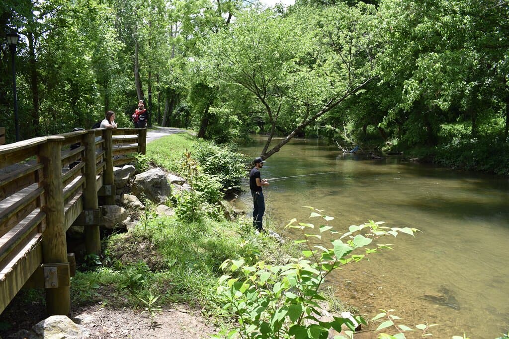Linear Trail in Erwin, TN