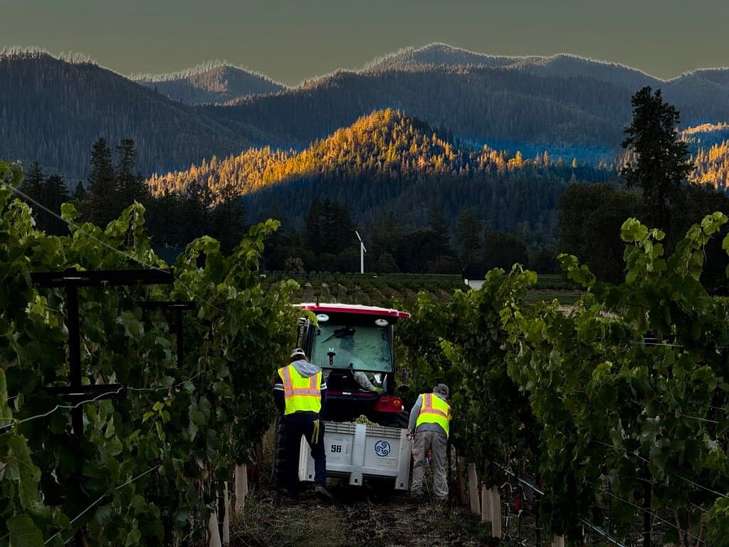 Troon Vineyard is the world's only Demeter Biodynamic® Certified and Regenerative Organic Gold Certified® farm and winery. Our wines have been lauded by The New York Times, The Wine Spectator, and The Wine Enthusiast, who named us an American Winery of the Year. Visit our farm for an exceptional farm-to-table food and wine experience in the beautiful Siskiyou Mountains of Southern Oregon.