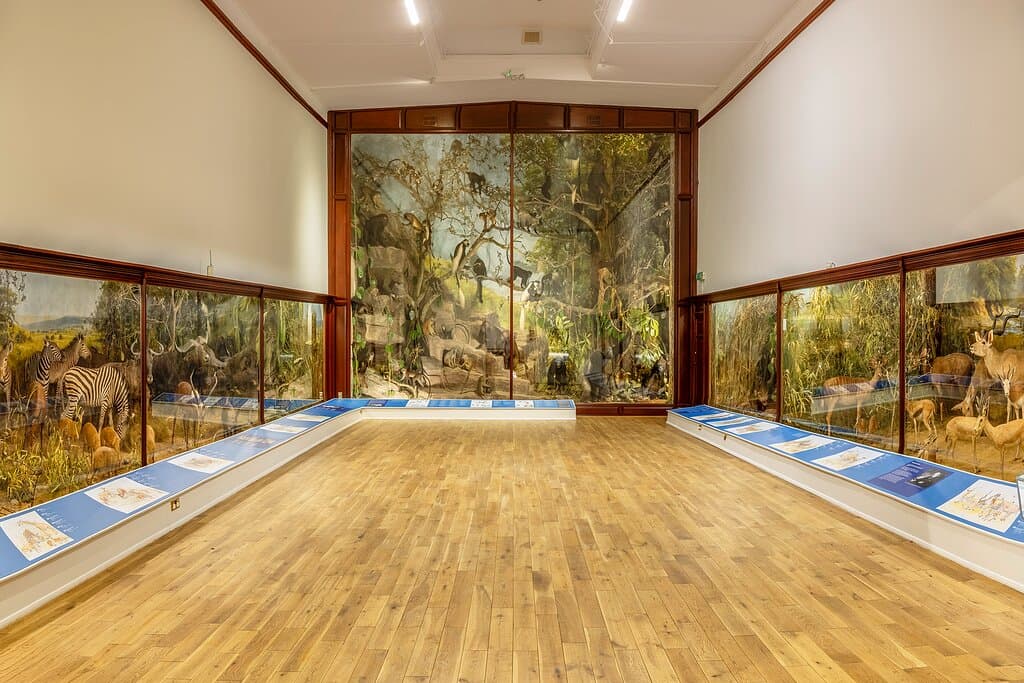 Gallery 1
