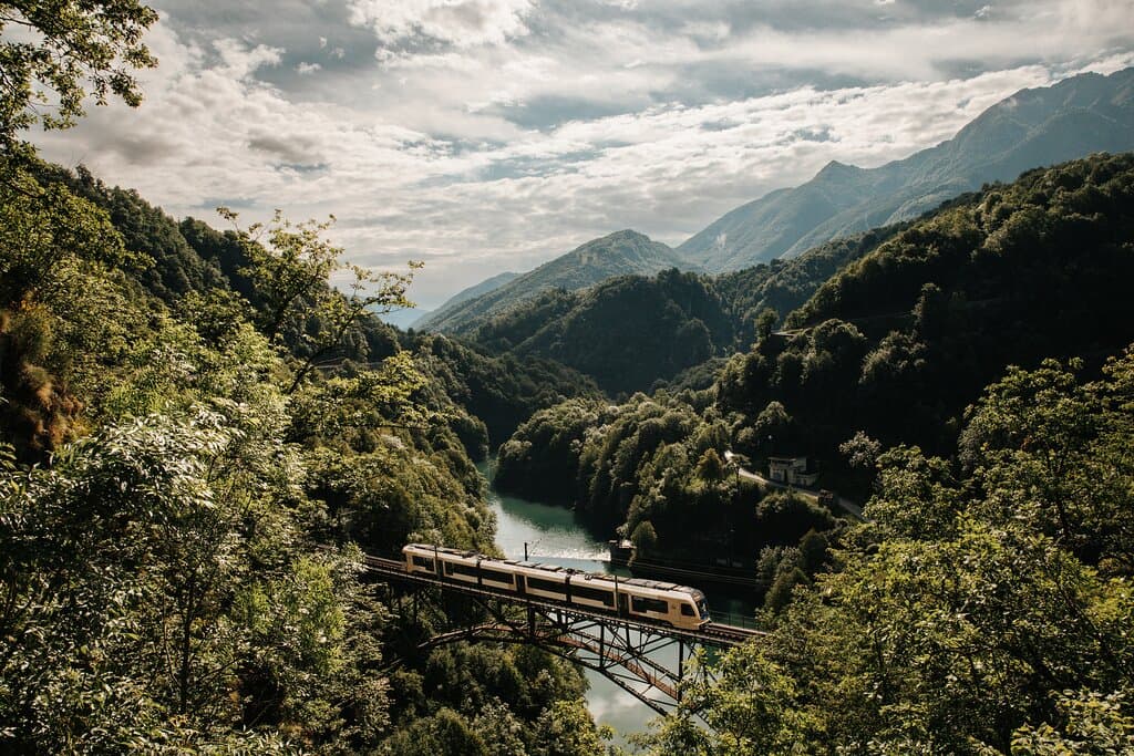 Amazing journey