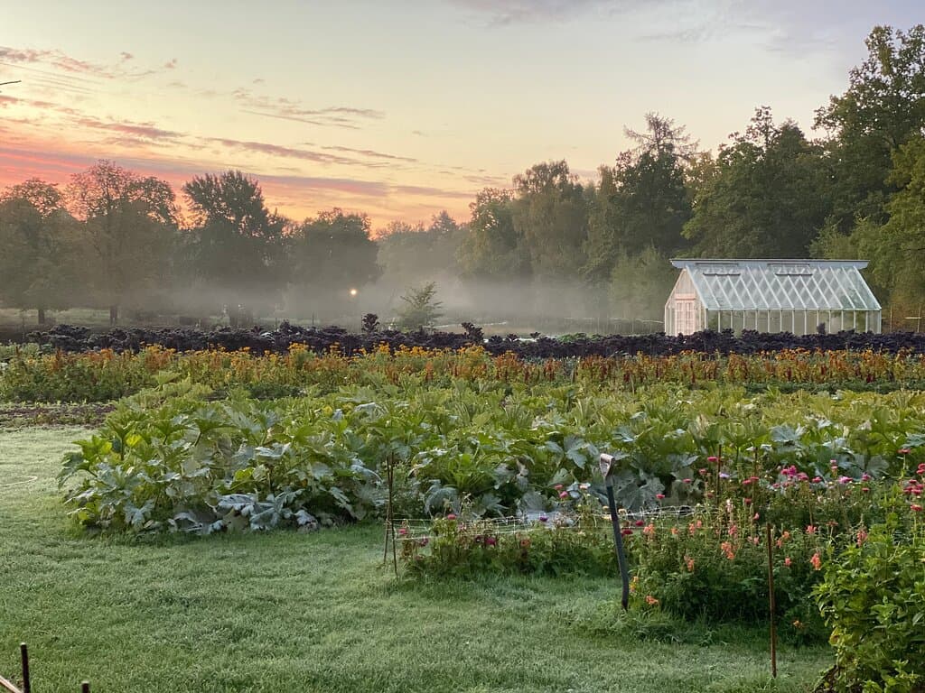 På Rosendals Trädgård odlar trädgårdsmästarna grönsaker, frukt och blommor. Odlingen är biodynamisk - giftfri, utan konstgödsel och med fokus på att bygga upp en levande matjord.  Skörden tas tillvara av Rosendals kockar och bagare för att kunna serveras i Trädgårdskaféet och vi fester, middagar och event som anordnas på Rosendals Trädgård.