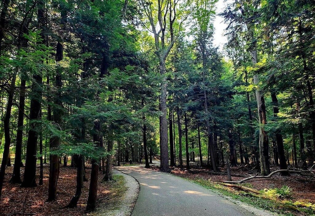 Park photos