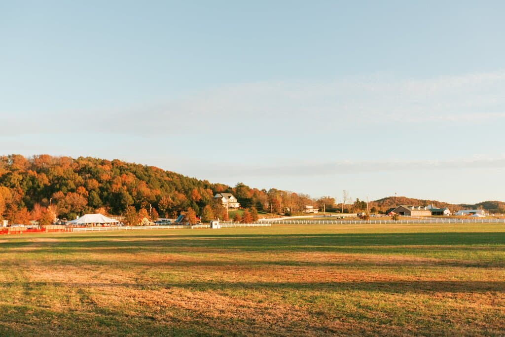 Fall Festival
