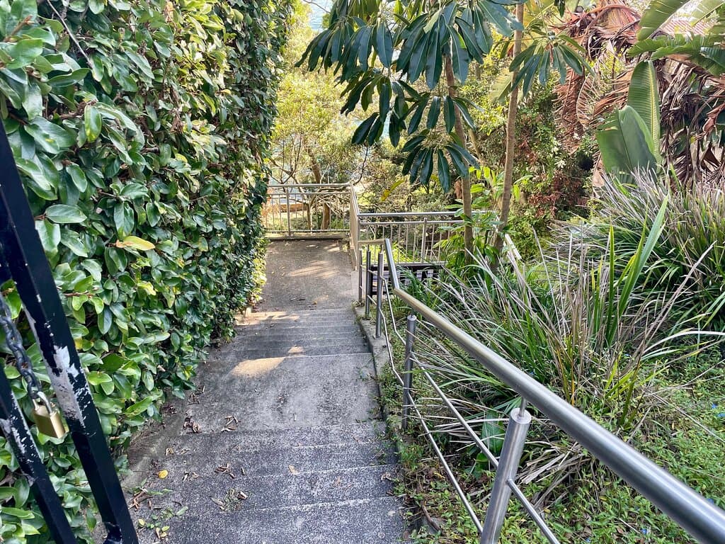 The hidden stairs that lead down from Wolseley Road to tiny Duff Reserve.