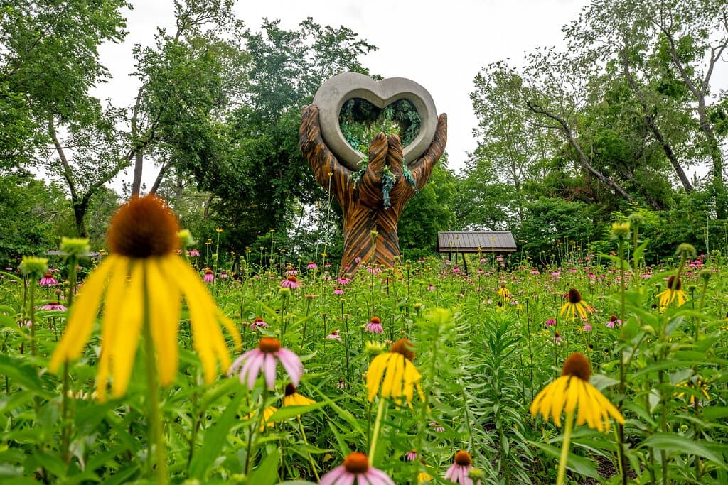 The Meadow at Compton Gardens & Arboretum