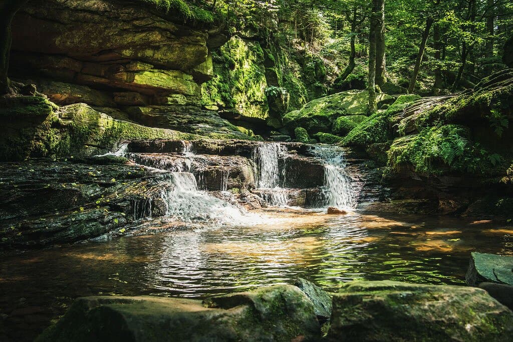 Monbachtal Gorge