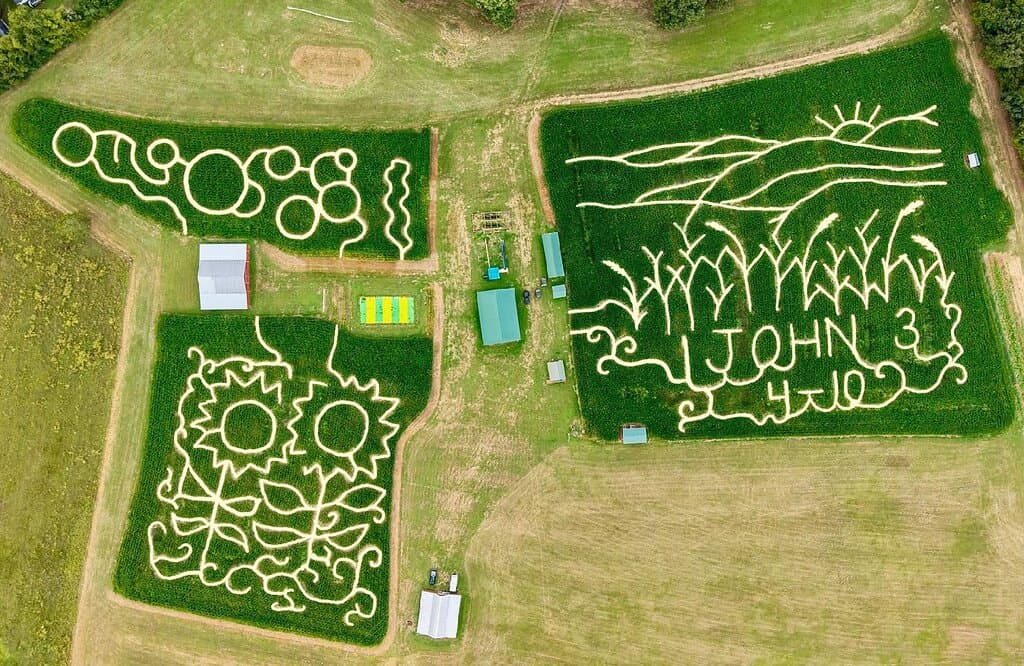 2025 Mazes 