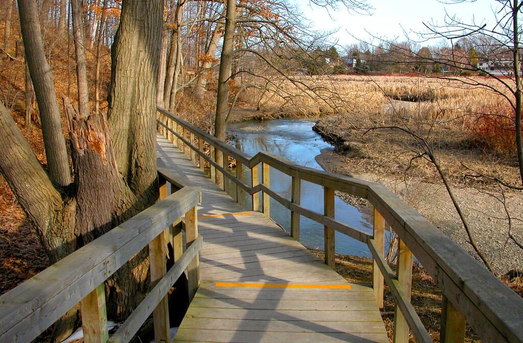 Trail along the marsh