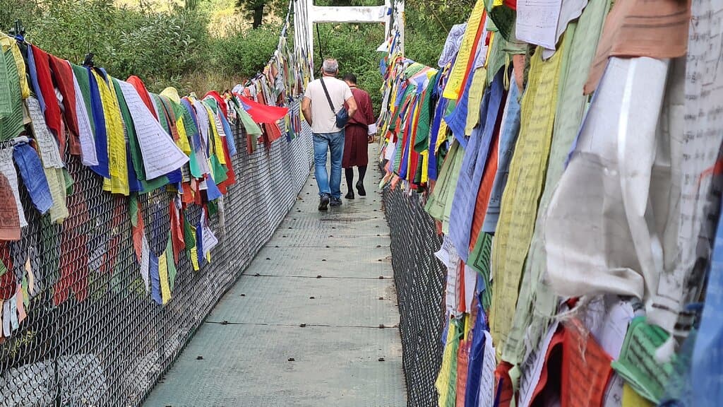 Passerelles au dessus de la rivière