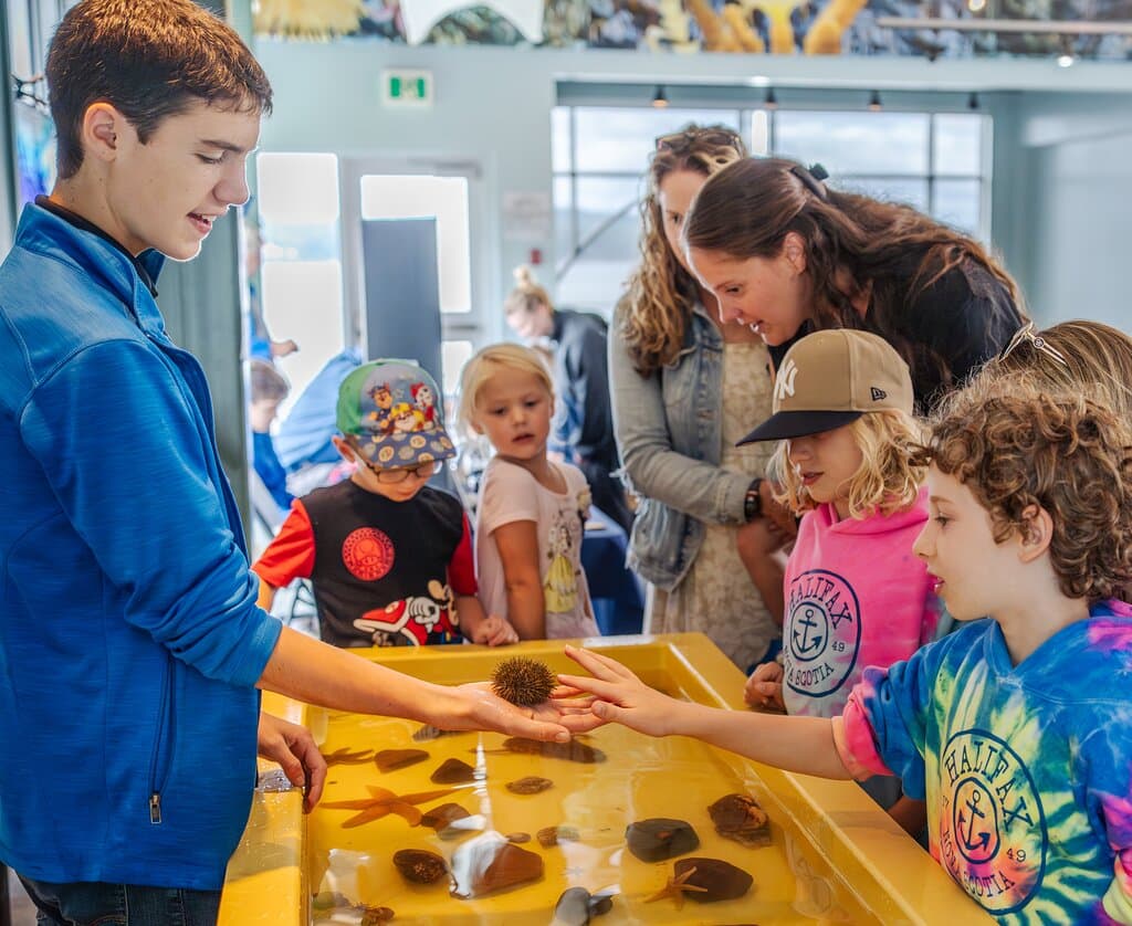 Interpretive touch tank.
