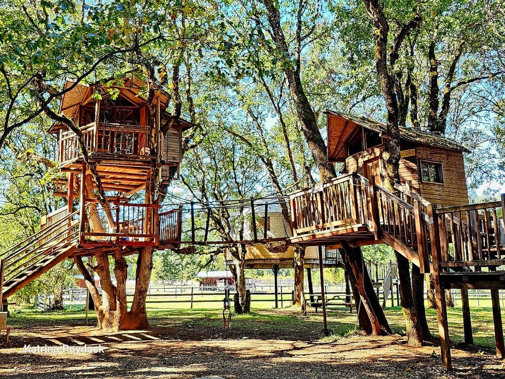 Swiss Family Complex sleeps up to 5 people