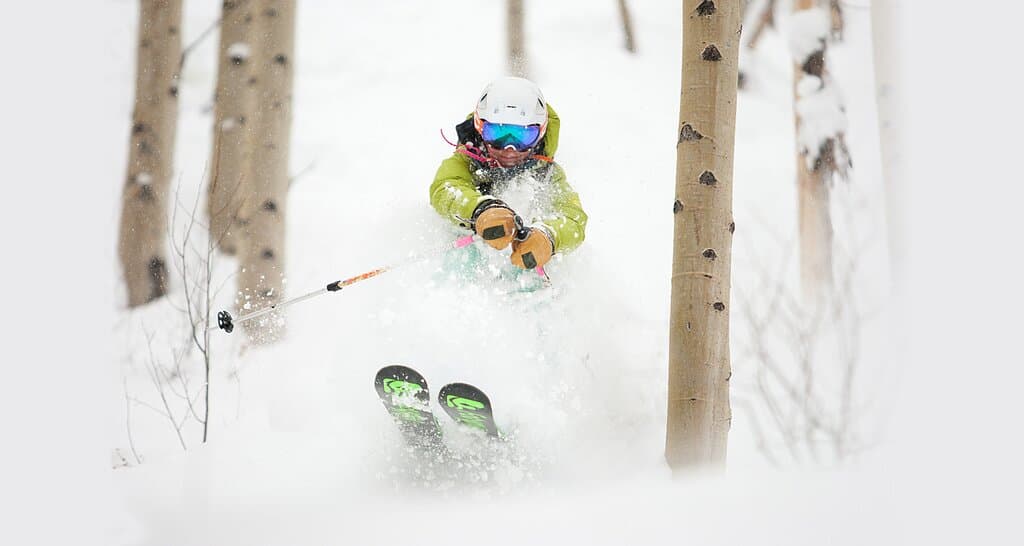 Ski untouched backcountry powder.