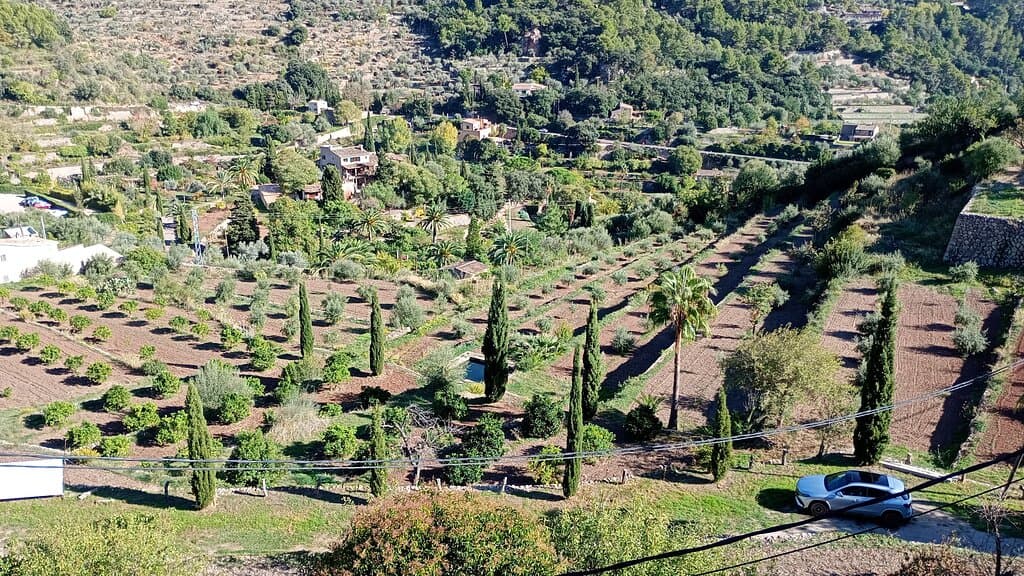 Miranda des Lledoners