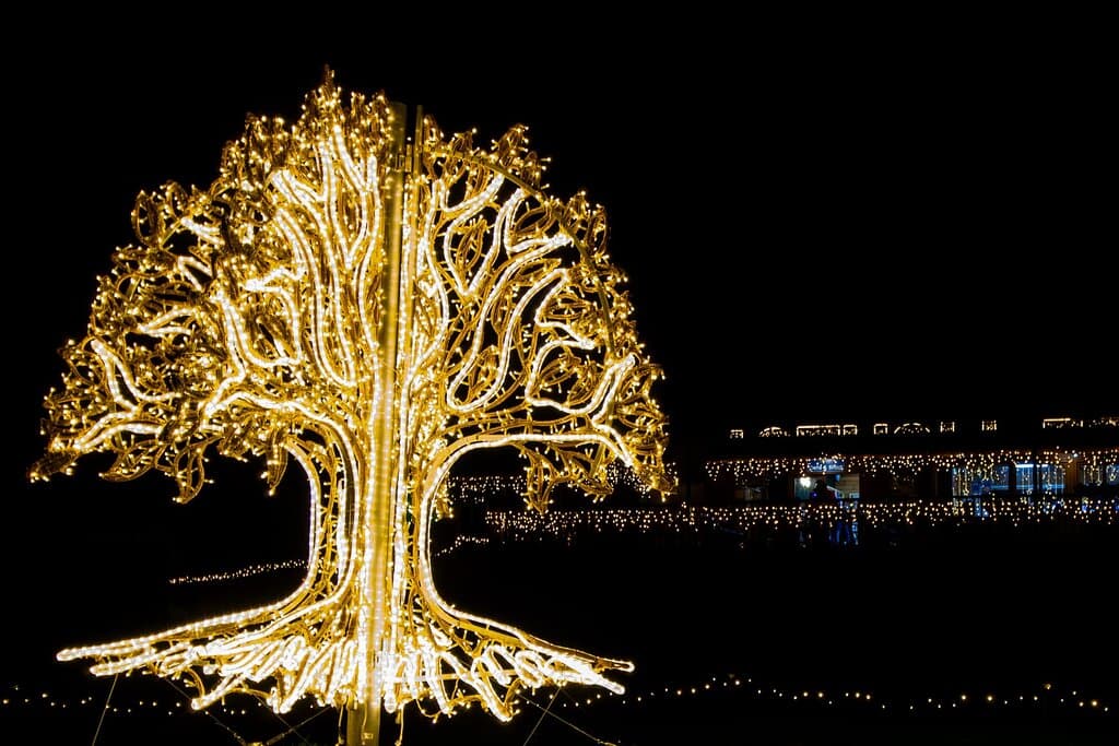 Adventure Lights at Skypark in Carlingford - Fairy Tree