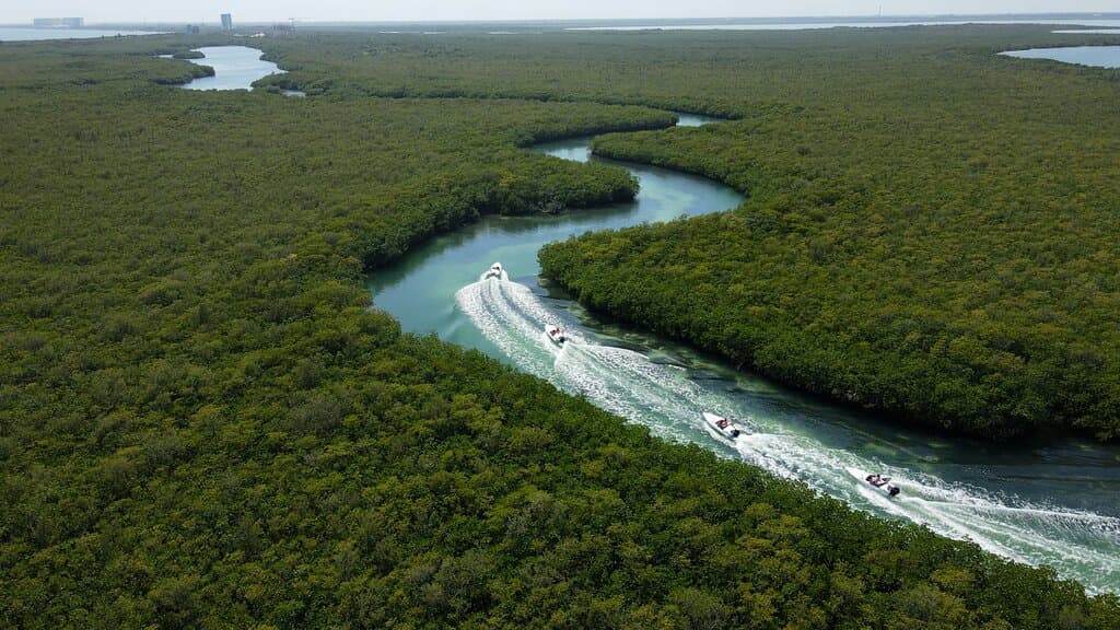 5 experiences, 1 unforgettable day! Speedboat thrills, Mayan culture, and stunning snorkeling at the MUSA museum. An absolute must-do in Cancun! Book your adventure now! 🚤🗿🐠