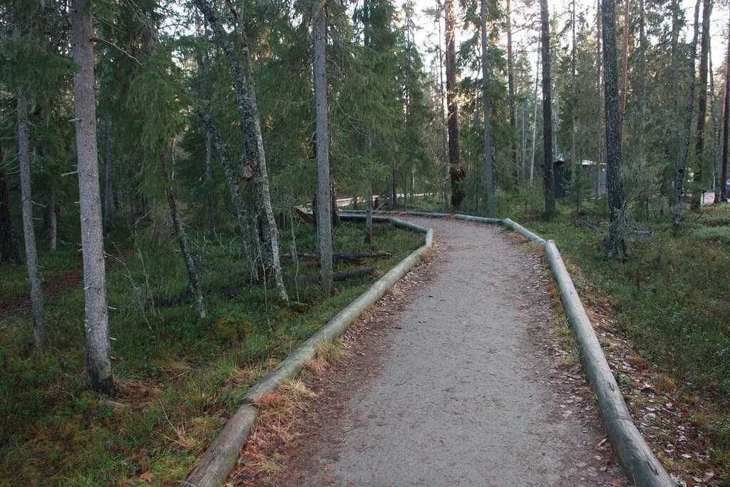Arctic Circle Hiking Rovaniemi Finland