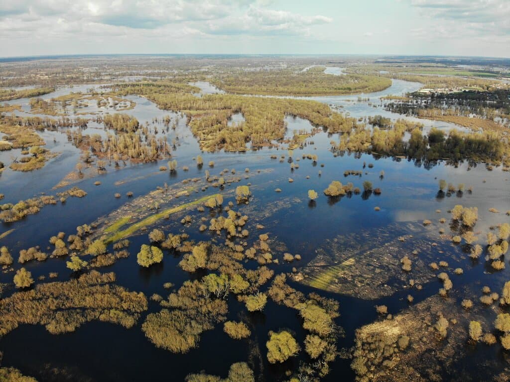 Разлив Припяти -  уникальное весеннее природное явление, которое на несколько месяцев превращает луга и леса Национального парка в море - "Море Геродота"