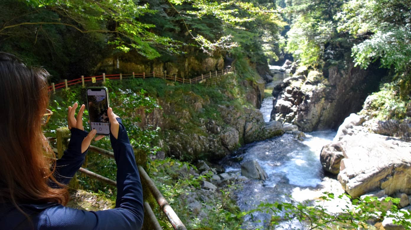 Scenic Hiking Trails