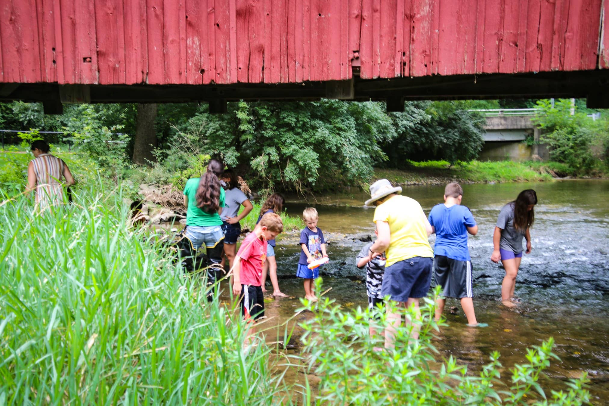 Conestoga River Creek